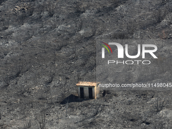 Aftermath of fire breaks out in Barnavas, a region in East Attica, on the afternoon of August 11, 2024, burning over 105,000 acres of land a...