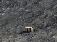 Aftermath of fire breaks out in Barnavas, a region in East Attica, on the afternoon of August 11, 2024, burning over 105,000 acres of land a...