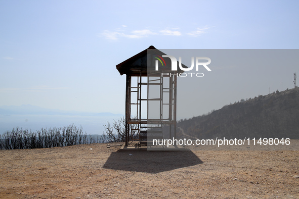 Aftermath of fire breaks out in Barnavas, a region in East Attica, on the afternoon of August 11, 2024, burning over 105,000 acres of land a...