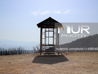 Aftermath of fire breaks out in Barnavas, a region in East Attica, on the afternoon of August 11, 2024, burning over 105,000 acres of land a...