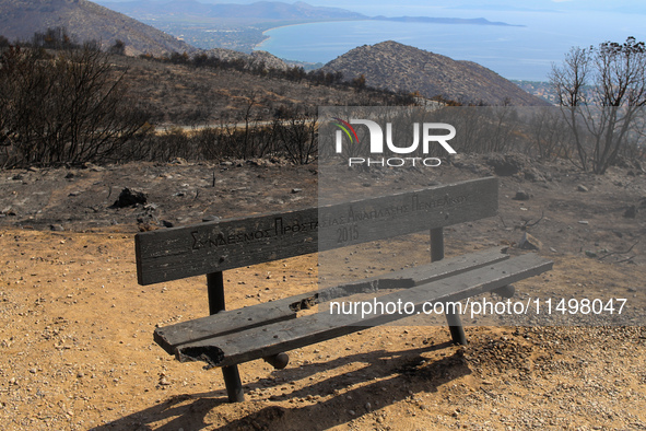 Aftermath of fire breaks out in Barnavas, a region in East Attica, on the afternoon of August 11, 2024, burning over 105,000 acres of land a...