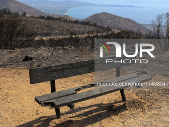 Aftermath of fire breaks out in Barnavas, a region in East Attica, on the afternoon of August 11, 2024, burning over 105,000 acres of land a...