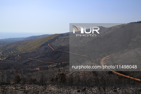 Aftermath of fire breaks out in Barnavas, a region in East Attica, on the afternoon of August 11, 2024, burning over 105,000 acres of land a...