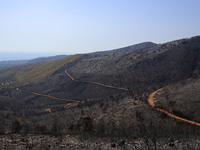 Aftermath of fire breaks out in Barnavas, a region in East Attica, on the afternoon of August 11, 2024, burning over 105,000 acres of land a...