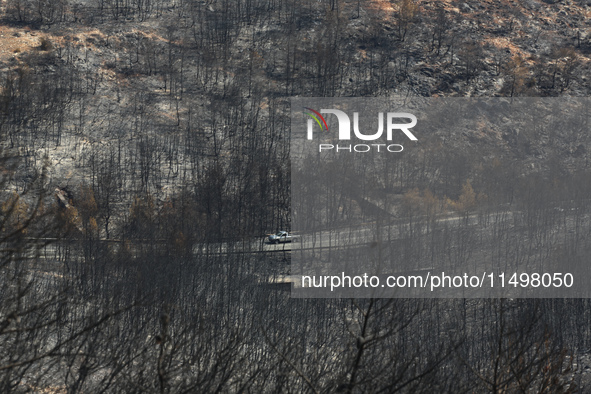 Aftermath of fire breaks out in Barnavas, a region in East Attica, on the afternoon of August 11, 2024, burning over 105,000 acres of land a...