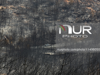 Aftermath of fire breaks out in Barnavas, a region in East Attica, on the afternoon of August 11, 2024, burning over 105,000 acres of land a...