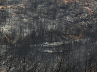 Aftermath of fire breaks out in Barnavas, a region in East Attica, on the afternoon of August 11, 2024, burning over 105,000 acres of land a...