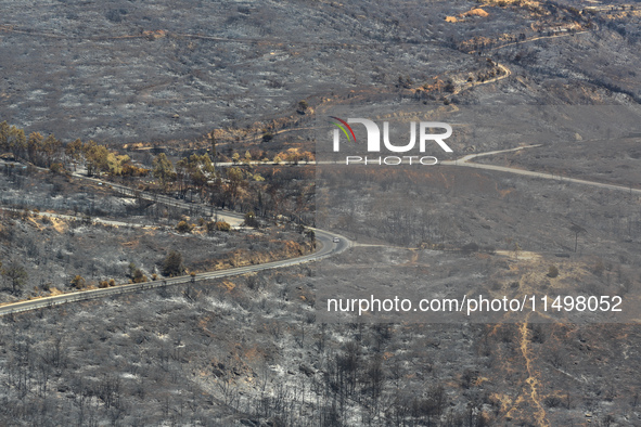 Aftermath of fire breaks out in Barnavas, a region in East Attica, on the afternoon of August 11, 2024, burning over 105,000 acres of land a...