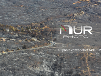 Aftermath of fire breaks out in Barnavas, a region in East Attica, on the afternoon of August 11, 2024, burning over 105,000 acres of land a...