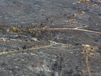 Aftermath of fire breaks out in Barnavas, a region in East Attica, on the afternoon of August 11, 2024, burning over 105,000 acres of land a...