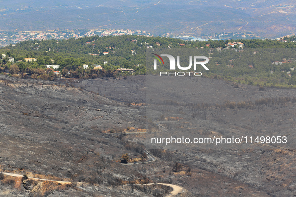 Aftermath of fire breaks out in Barnavas, a region in East Attica, on the afternoon of August 11, 2024, burning over 105,000 acres of land a...