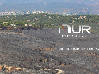 Aftermath of fire breaks out in Barnavas, a region in East Attica, on the afternoon of August 11, 2024, burning over 105,000 acres of land a...