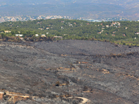 Aftermath of fire breaks out in Barnavas, a region in East Attica, on the afternoon of August 11, 2024, burning over 105,000 acres of land a...