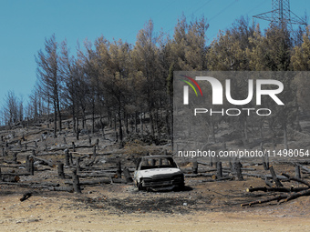 Aftermath of fire breaks out in Barnavas, a region in East Attica, on the afternoon of August 11, 2024, burning over 105,000 acres of land a...