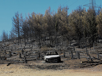 Aftermath of fire breaks out in Barnavas, a region in East Attica, on the afternoon of August 11, 2024, burning over 105,000 acres of land a...