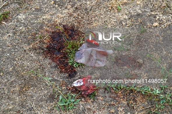 A blood-stained occlusive dressing lies on the ground near the Levada children's cafe in the central park destroyed by a Russian artillery s...