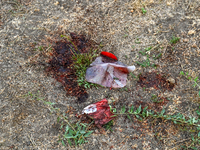 A blood-stained occlusive dressing lies on the ground near the Levada children's cafe in the central park destroyed by a Russian artillery s...