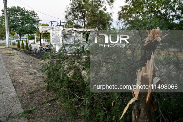 A broken thuja is near the Levada children's cafe in the central park that burns down after a Russian artillery shell strike in Malokateryni...