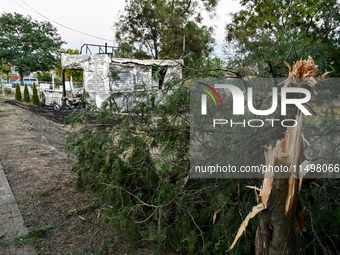 A broken thuja is near the Levada children's cafe in the central park that burns down after a Russian artillery shell strike in Malokateryni...