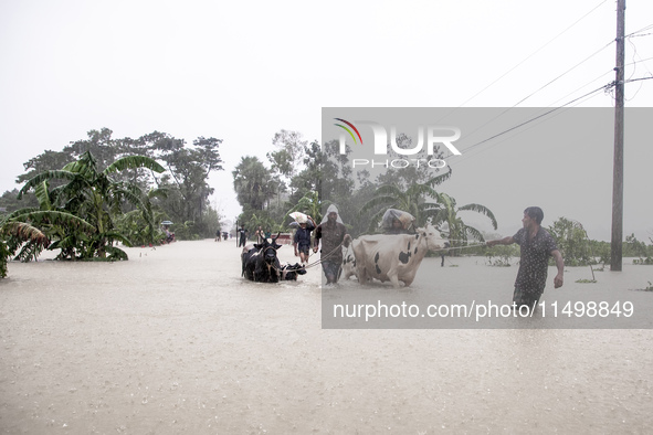 Pedestrians walk through flooded roads in the Munsirhat area of Feni district of Chittagong Division, Bangladesh, wading through water up to...