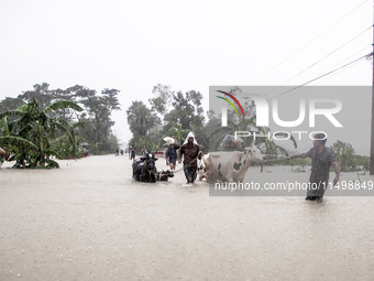 Pedestrians walk through flooded roads in the Munsirhat area of Feni district of Chittagong Division, Bangladesh, wading through water up to...