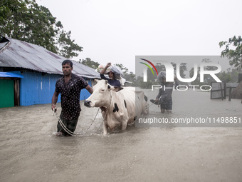 Pedestrians walk through flooded roads in the Munsirhat area of Feni district of Chittagong Division, Bangladesh, wading through water up to...