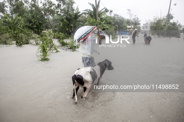 Pedestrians walk through flooded roads in the Munsirhat area of Feni district of Chittagong Division, Bangladesh, wading through water up to...