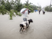 Pedestrians walk through flooded roads in the Munsirhat area of Feni district of Chittagong Division, Bangladesh, wading through water up to...