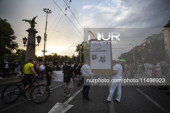 Protesters march and blockade the key intersection Eagle's Bridge in Sofia, Bulgaria, on August 21, 2024, demanding the resignation of caret...