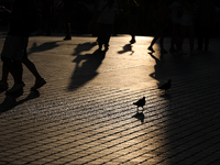 People during sunset are seen on the Main Square in Krakow, Poland, on August 13, 2024. (