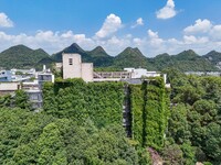 Creepers occupy the back wall of a 12-story library at a university in Guiyang, China, on August 21, 2024. The creeper climbs from the groun...