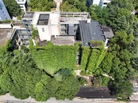 Creepers occupy the back wall of a 12-story library at a university in Guiyang, China, on August 21, 2024. The creeper climbs from the groun...