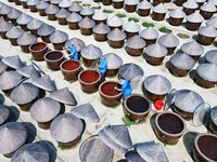 Workers use a wooden rake to turn sauces at the old soy sauce natural drying sauce shop in Yanhe Village, Rucheng Street, Rugao city, East C...