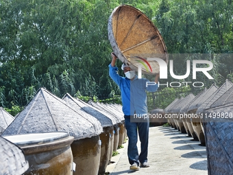 Workers use a wooden rake to turn sauces at the old soy sauce natural drying sauce shop in Yanhe Village, Rucheng Street, Rugao city, East C...