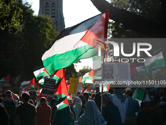 Pro-Palestinian activists marched through the streets of Chicago on August 21, 2024, to protest the Democratic National Committee's conventi...