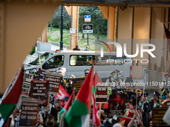 Pro-Palestinian activists marched through the streets of Chicago on August 21, 2024, to protest the Democratic National Committee's conventi...