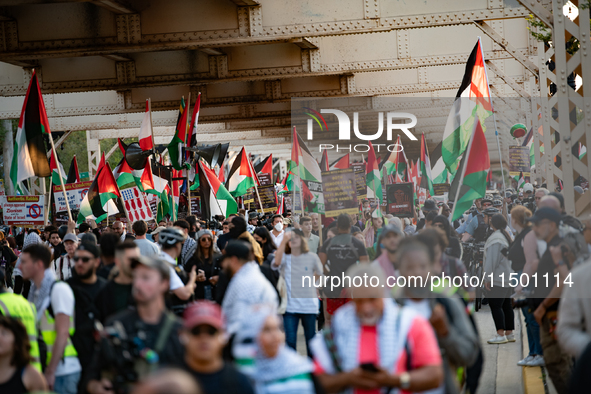 Pro-Palestinian activists marched through the streets of Chicago on August 21, 2024, to protest the Democratic National Committee's conventi...