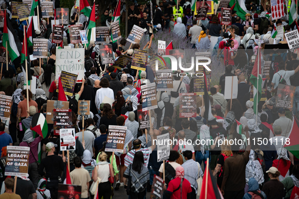 Pro-Palestinian activists marched through the streets of Chicago on August 21, 2024, to protest the Democratic National Committee's conventi...