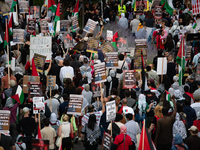 Pro-Palestinian activists marched through the streets of Chicago on August 21, 2024, to protest the Democratic National Committee's conventi...