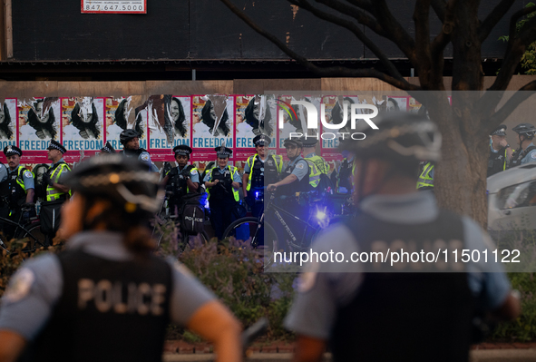 Pro-Palestinian activists marched through the streets of Chicago on August 21, 2024, to protest the Democratic National Committee's conventi...