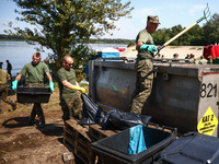 Members of Territorial Defence Force remove dead fishes from Lake Dzierzno Duze in Rzeczyce, southern Poland on August 20th, 2024. Since the...