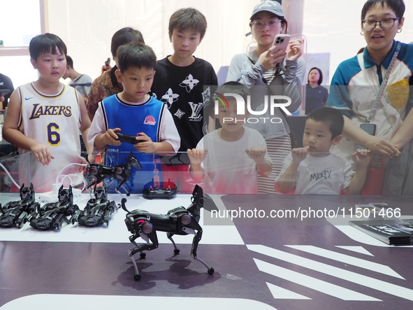 Visitors experience an ''AI bionic robot'' at the 2024 World Robot Conference in Beijing, China, on August 22, 2024. 