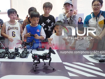 Visitors experience an ''AI bionic robot'' at the 2024 World Robot Conference in Beijing, China, on August 22, 2024. (