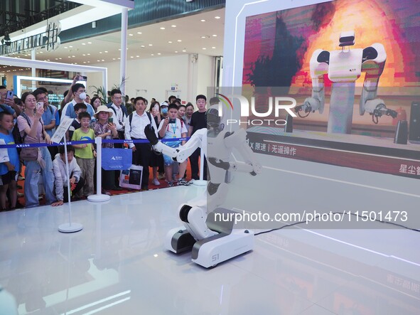 Visitors watch a robot perform Wing Chun at the 2024 World Robot Conference in Beijing, China, on August 22, 2024. 