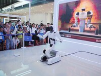 Visitors watch a robot perform Wing Chun at the 2024 World Robot Conference in Beijing, China, on August 22, 2024. (