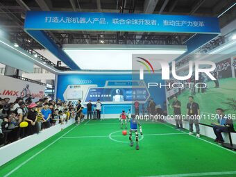 Spectators watch ''robot football'' at the 2024 World Robot Conference in Beijing, China, on August 22, 2024. (