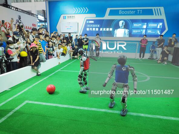 Spectators watch ''robot football'' at the 2024 World Robot Conference in Beijing, China, on August 22, 2024. 