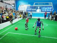 Spectators watch ''robot football'' at the 2024 World Robot Conference in Beijing, China, on August 22, 2024. (