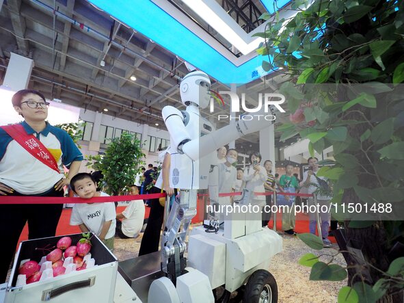 Visitors visit an ''intelligent humanoid picking robot'' at the 2024 World Robot Conference in Beijing, China, on August 22, 2024. 