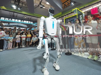 Visitors view a ''humanoid robot'' at the 2024 World Robot Conference in Beijing, China, on August 22, 2024. (